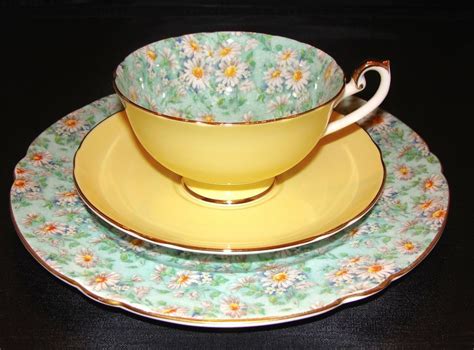 Shelley Boston Shape Marguerite Chintz Cup And Saucer And Ripon Shaped 8