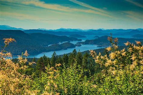 Autumn Forest Islands Canada Bay British Columbia Okeover Inlet