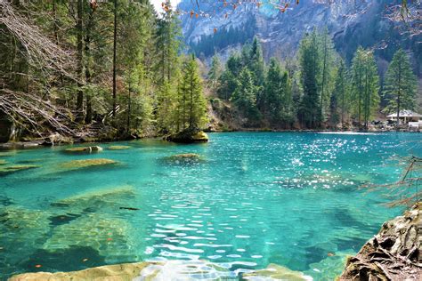 Blausee Natural Wonder Of Switzerland Blue Lake Mountain Aquarius