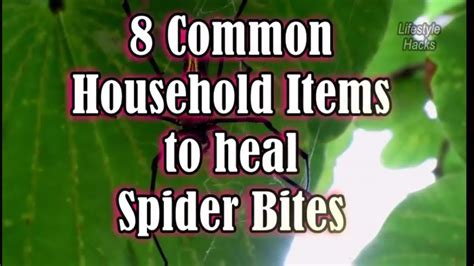 8 Common Household Items To Treat Spider Bites Youtube Spider Bites