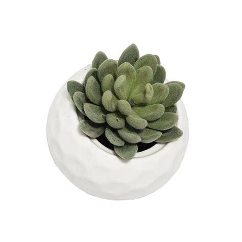 Realistic Artificial Succulent Cactus Small Plastic Succulent Plants