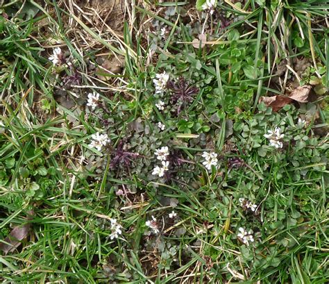 Signs Of Spring 5 Harrison Hills Walk And Cavity Nesting Team 30