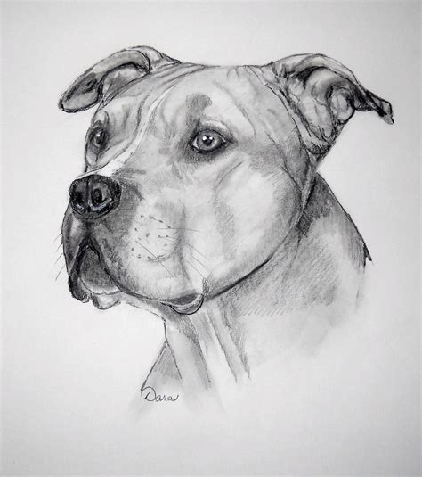 American Pitbull Terrier Pitbull Art Dog Design Art Dog Art