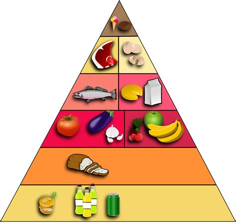 Qual é A Estrutura Da Pirâmide Alimentar Br