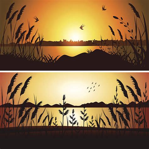 Royalty Free Lake Sunset Clip Art Vector Images And Illustrations Istock