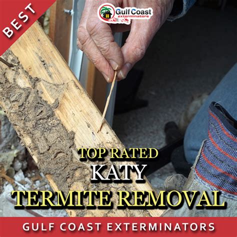Do it yourself pest control katy. Katy Termite Inspection and Termite Control - Pest Control Houston Gulf Coast Exterminators