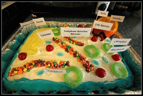Plant Cell Cake This Will Come In Handy Someday Plant Cells Project
