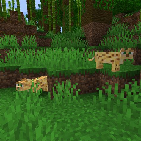 How To Tame An Ocelot In Minecraft