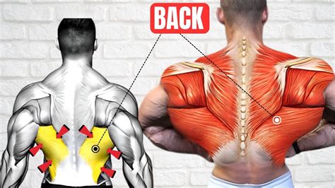 Best Back Exercises🔥💪 Get Strong Back Back Workout Killer Back