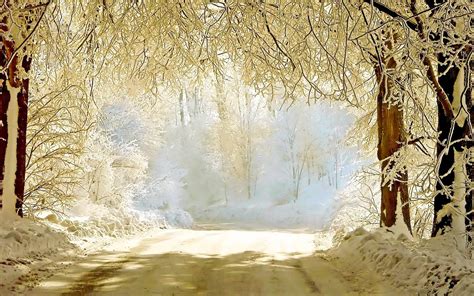 This Is Called White Heaven Winter Wonderland Road 1920x1200