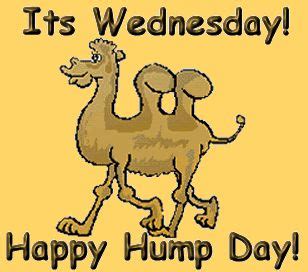 Best Hump Day Wish Greetings Images Pictures Quotesbae