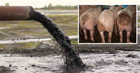 Polluted drinking water is a problem for half of the world's population. How Most of Our Water Gets Polluted