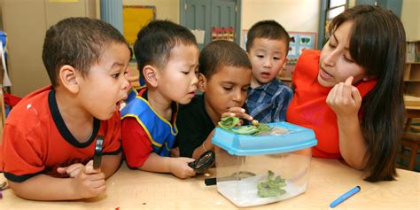 A Kindergarten Student Told Me Teachers Are Lazy Greedy Caroline Cho