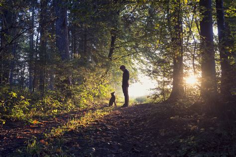 Man Walking His Dog Woods Standing Nature Photos Dogs Photo