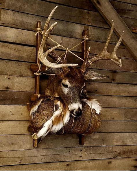 10 Pack Out Mount Ideas Deer Skull Mount Deer Hunting Decor Deer Mounts