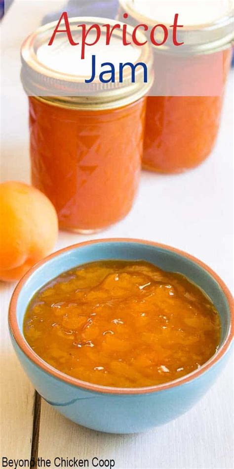 They are a taste sensation and little balls of. Homemade Apricot Jam | Recipe in 2020 | Apricot jam ...