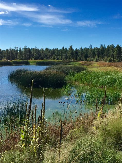 The lincoln national forest adjoins us for walking and hiking. Rainbow lake in lakeside az | Rainbow lake, White ...