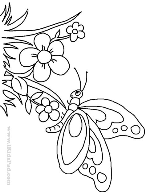 Surfnetkids » coloring » animals » butterfly » flowers and butterflies. Cute Butterfly Coloring Pages | Butterfly coloring page ...