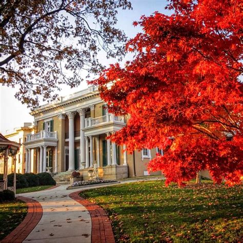 A Red Tree In Front Of A Large House