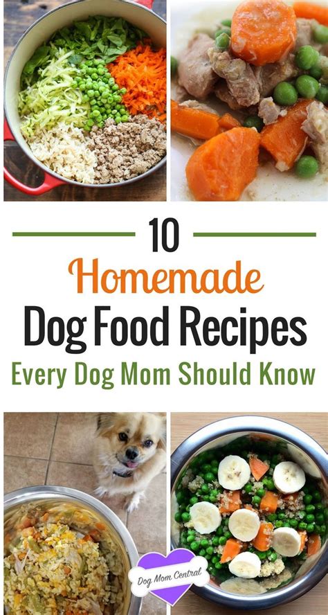 Dry cat food contains 7 percent to 12 percent water, while canned food can measure up to 80 percent water. Things to Look for In the Best Treats for Puppies | Dog ...