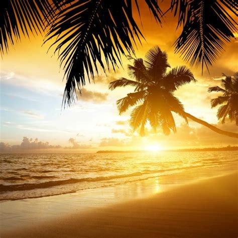 Stream Tropical Royalty Free Music Background Music Tropical