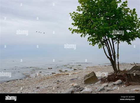Lake Erie shore and beaches part of the Great Lakes. Freshwater lakes