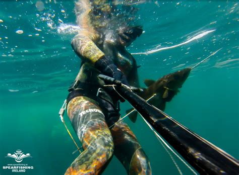 Spearfishing And Freediving In 2013 Video Spearfishing Ireland