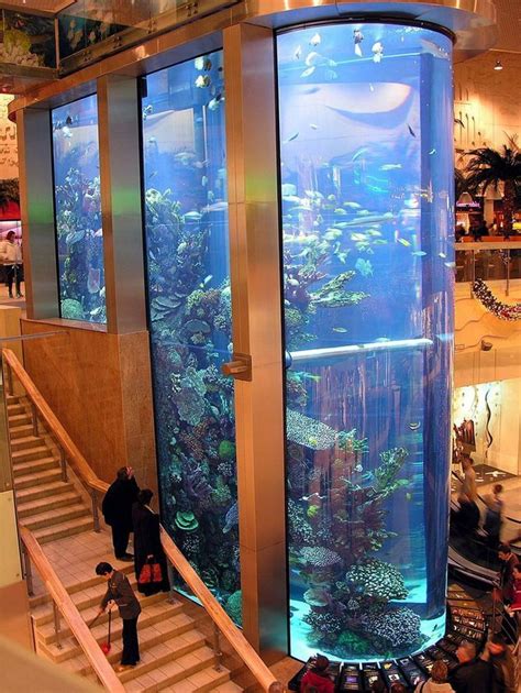 11 Incredible Aquarium Designs That You Can Try To Make Your Home Look