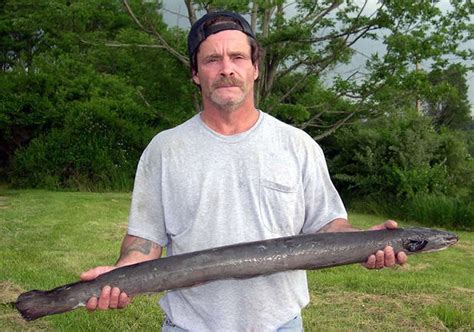 The Biggest Freshwater Fish Ever Caught In Nj