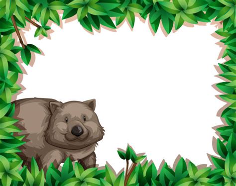 Wombats Background Illustrations Royalty Free Vector Graphics And Clip