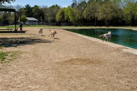 The 10 Best Dog Parks In The United States