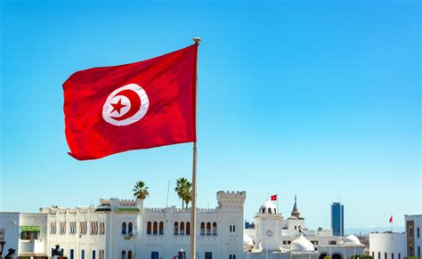 Tunisia National Democratic Institute