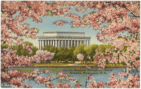 Lincoln Memorial Through The Cherry Blossoms Washington Flickr
