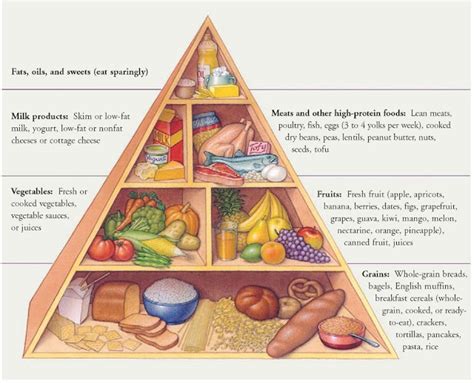 The Food Pyramid Revisited With A Mind Map Food Pyramid Mind Map