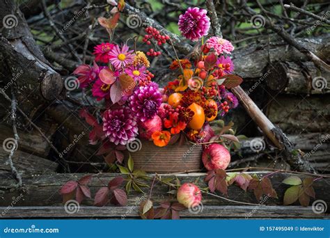 Floristic Bouquet Of Autumn Flowers With Dahlia Stock Image Image Of