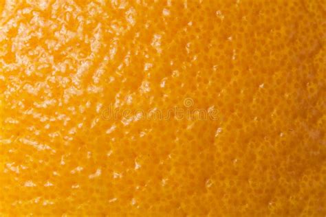 Skin Of Orange Stock Image Image Of Orange Macro Dieting 62692605