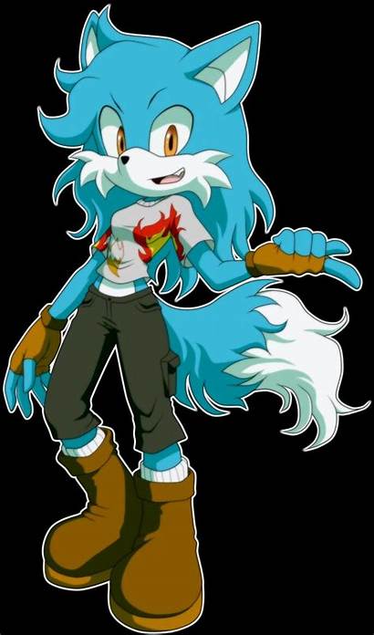 Character Sonic Fox Characters Fan Hedgehog Furry