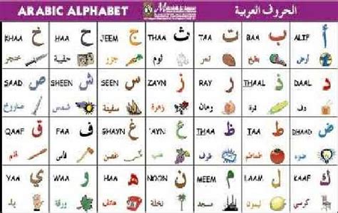 Arabic calligraphy generator is a free online tool that converts your your name or your loved one's name into arabic text (arabic cursive) with a nice calligraphy if you are curious how does your name look in arabic text or you are just. Arabic Alphabet Poster 6 | Mourad Diouri | Flickr
