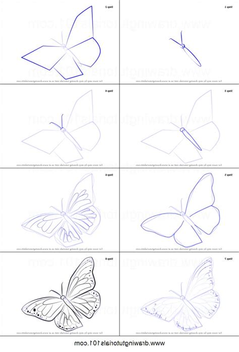 Butterfly Drawing Tutorial How To Draw A Monarch Butterfly Printable