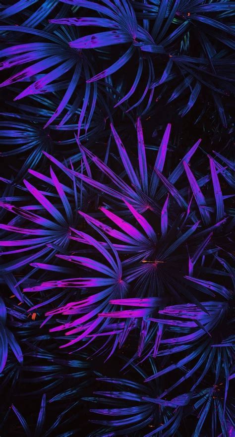 Neon Leaves Wallpapers Wallpaper Cave