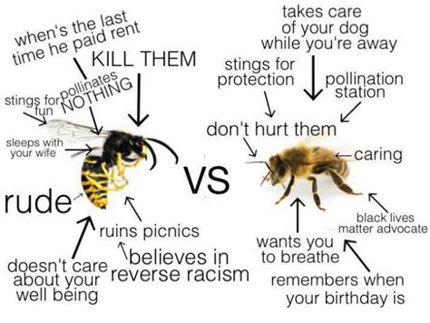 Differences Between Wasps And Bees Best Memes Dankest Memes Funny