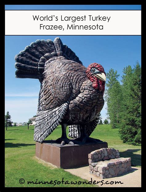world-s-largest-turkey-frazee,-minnesota-minnesota-travel,-minnesota,-worlds-largest