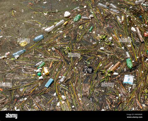 Pollution Waste Trash Garbage Floating In Atlantic Ocean Along Coast