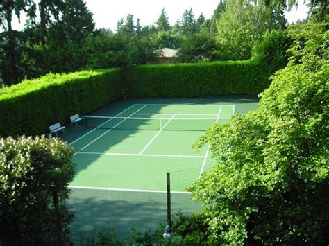 Hedges Surrounding Private Tennis Court Tennis Court Backyard Tennis