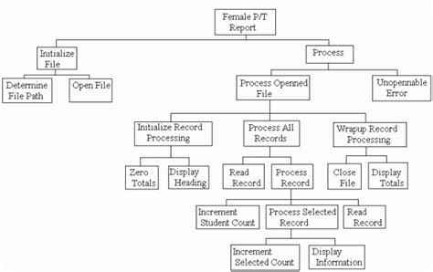Hierarchy Charts And Flowcharts