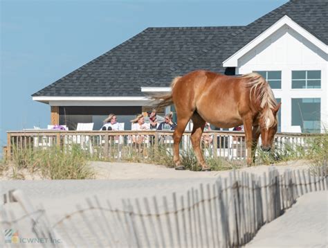 Top Outer Banks Attractions