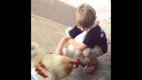 Babe Hugging Chicken I Will Allways Love You YouTube