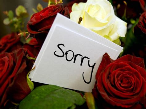 Sorry Quotes For Her Sincere Apology Picture Messages Zitations