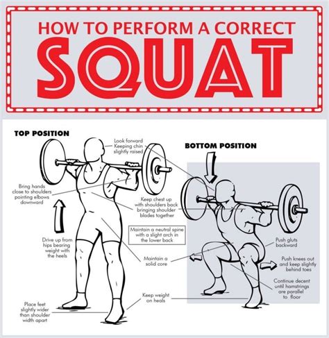 The Ultimate Guide To Barbell Squat Fitneass