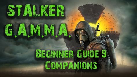 Stalker Gamma Beginner Guide 9 Companions Youtube